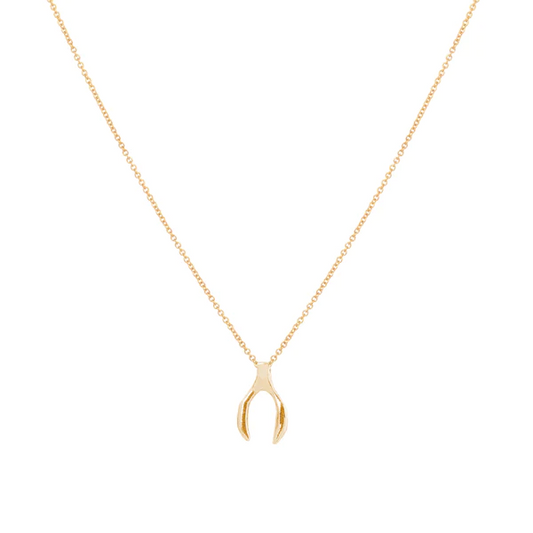 Epanoui Wishbone Gold Necklace